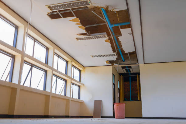 Best Ceiling water damage repair  in Spencer, IN
