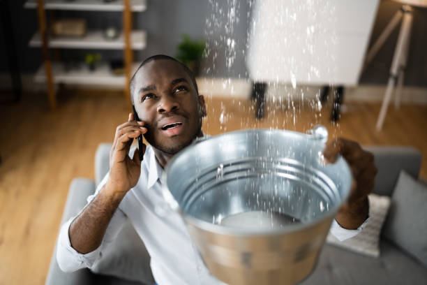 Best Mold removal after water damage  in Spencer, IN