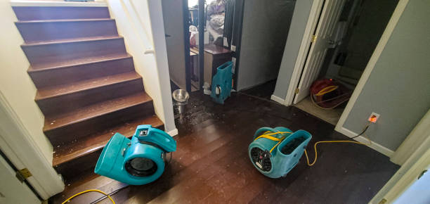 Best Professional water damage repair  in Spencer, IN