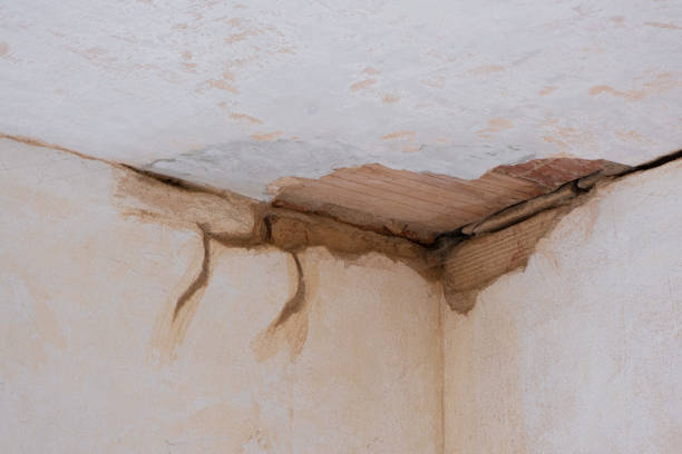 Best Flooded house restoration  in Spencer, IN