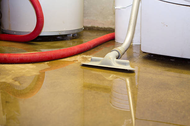 Best Basement water damage restoration  in Spencer, IN