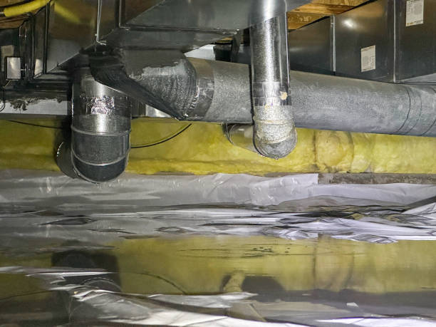 Best Local water damage restoration  in Spencer, IN