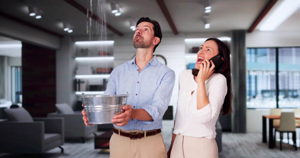 Best Water damage contractors near me  in Spencer, IN