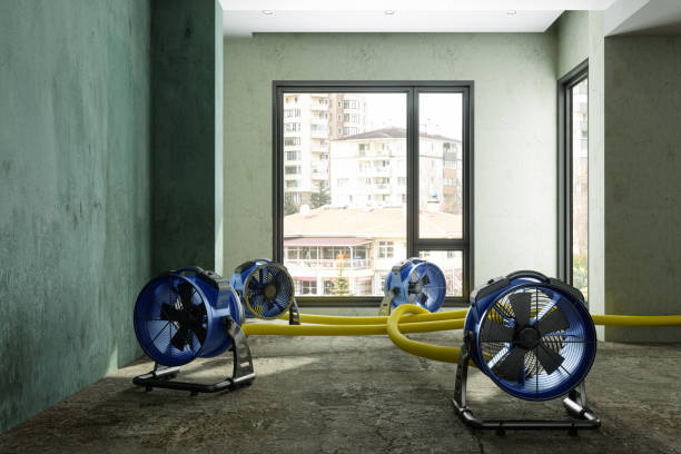 Best Commercial water damage restoration  in Spencer, IN